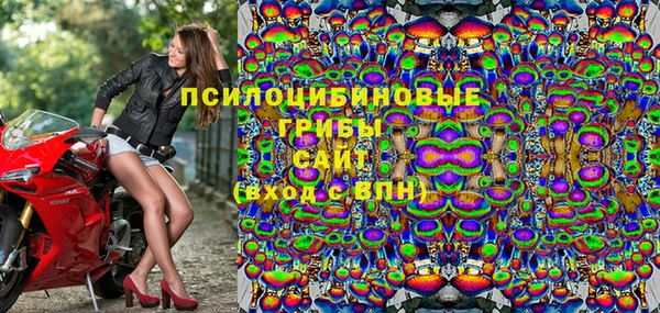 СК Бородино